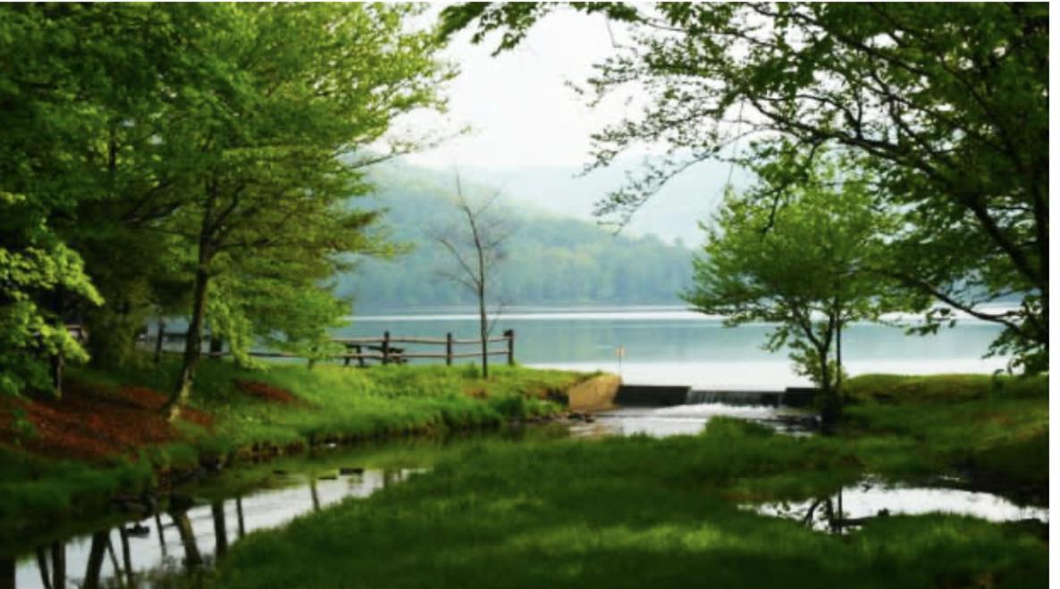 Prattvilla -Catskill -Mountain Escape 5 Bedroom ,3 Bath With Hot Tub Prattsville Buitenkant foto